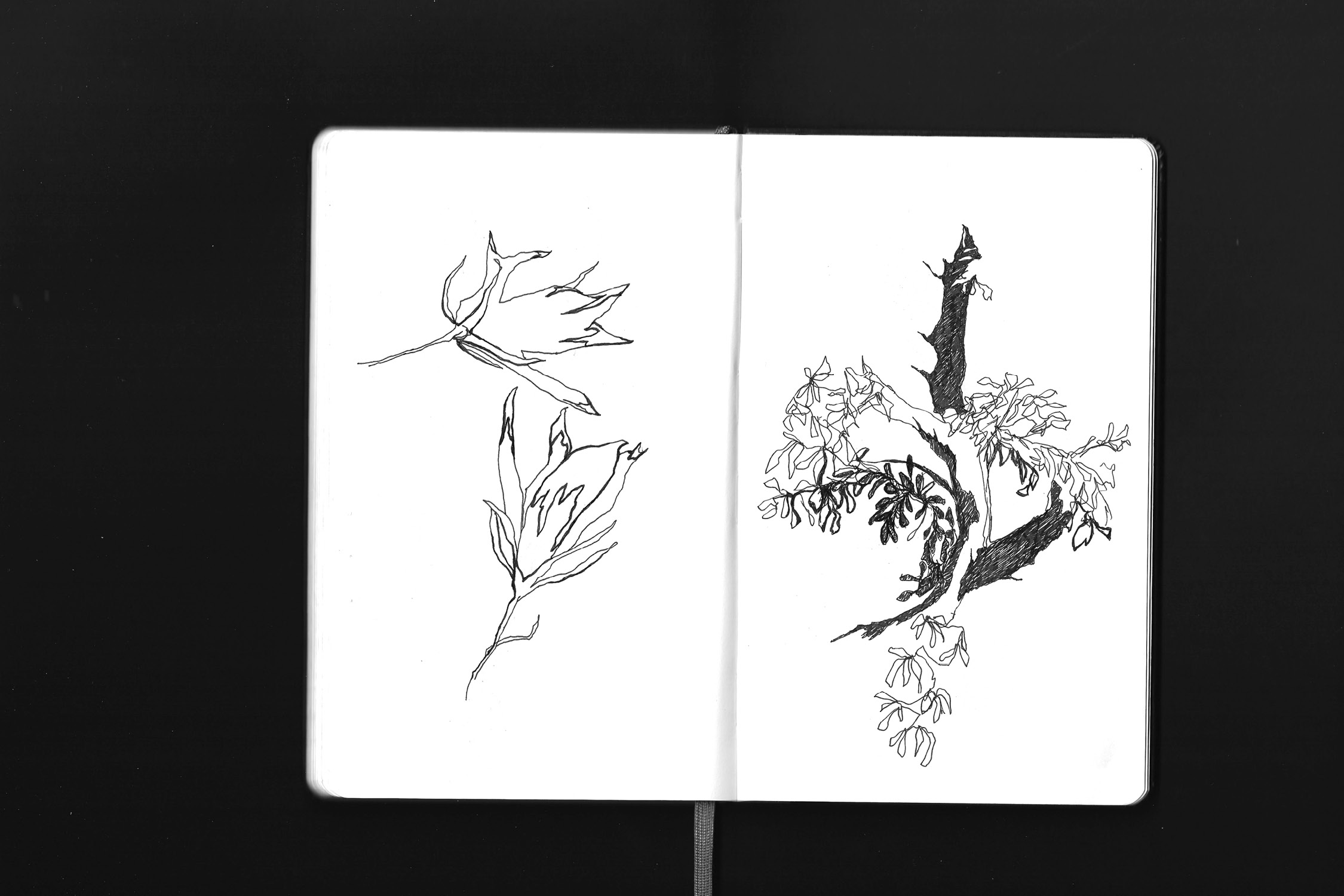 Dit is een afbeelindg van mijn project