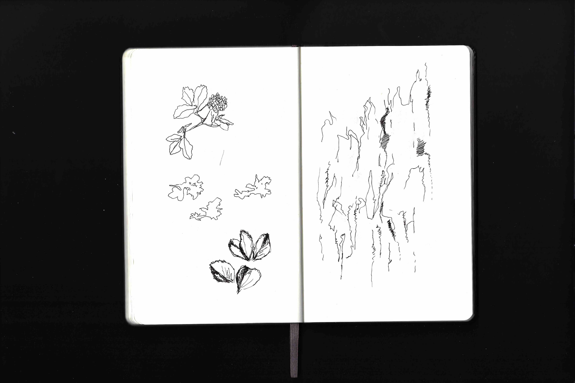 Dit is een afbeelindg van mijn project