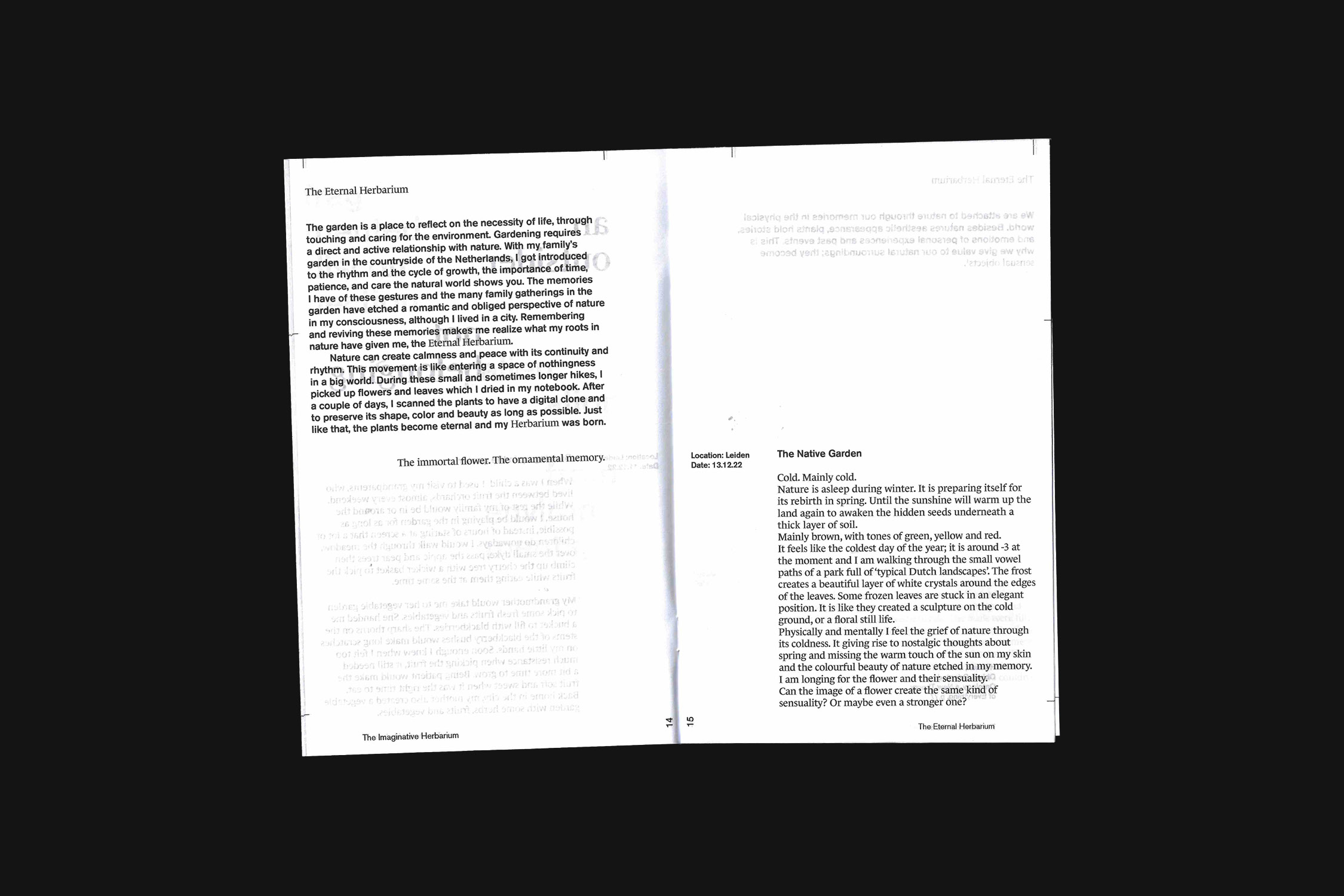 Dit is een afbeelindg van mijn project